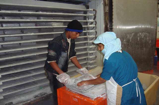 West Bengal Fishermen Cooperative Federation Ltd - BENFISH